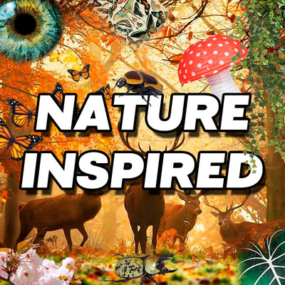 nature inspired room decor collection