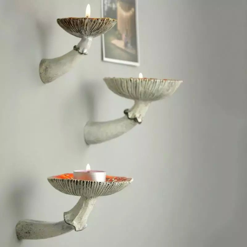 aesthetic mushroom shelf