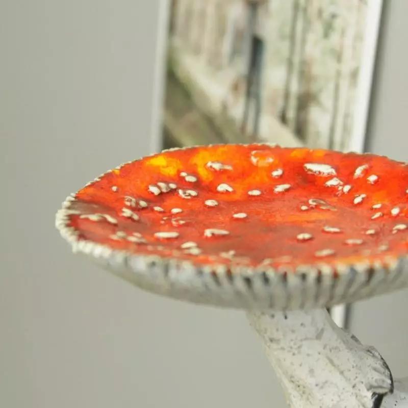 mushroom shaped aesthetic shelf
