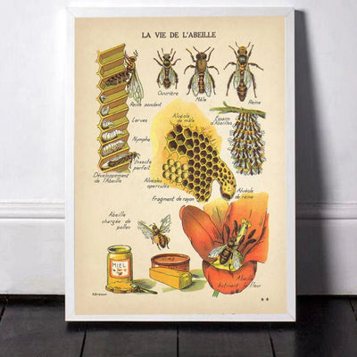 Bee vintage poster boogzel home
