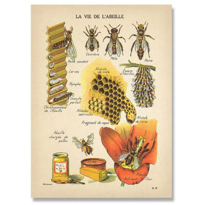 boogzel home aesthetic bee vintage poster