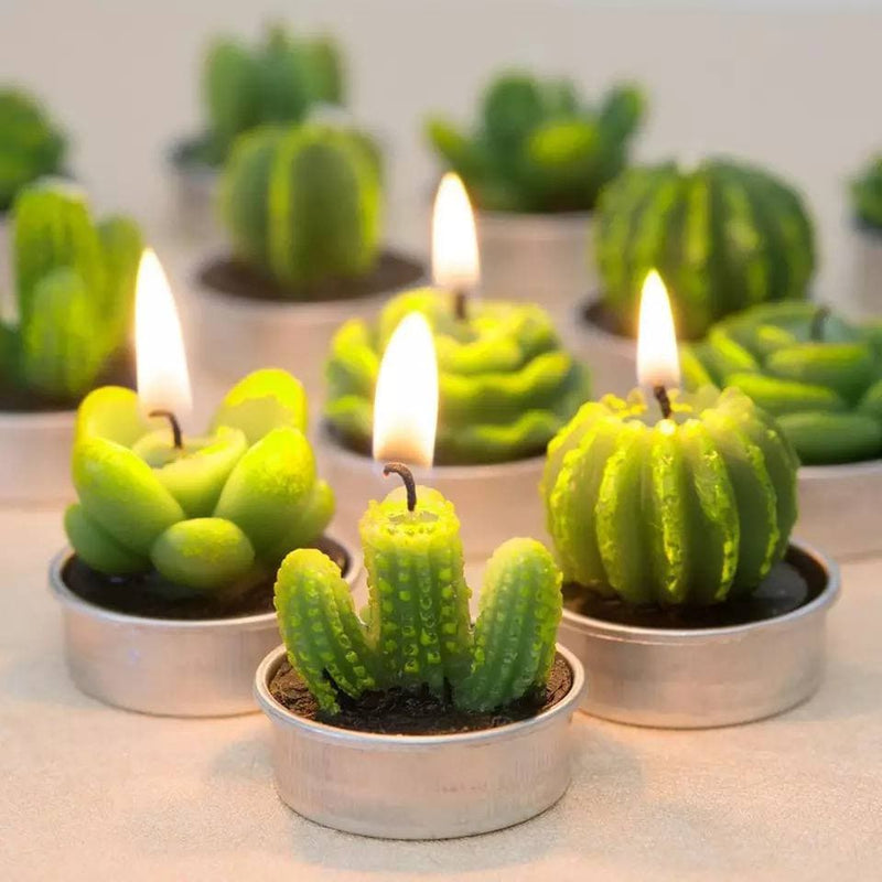 boogzel home cactus candle set