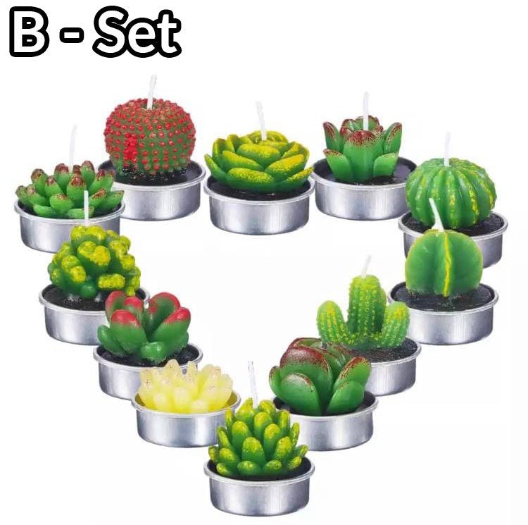 boogzel home cactus cndle set