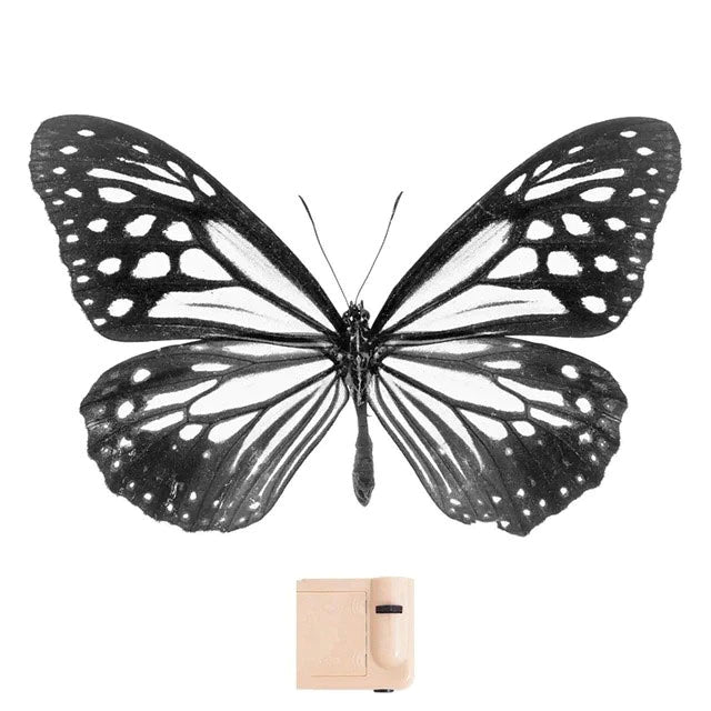 boogzel home butterflyt fairycore projector