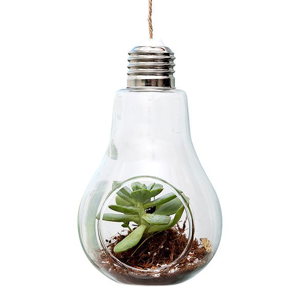 buy light bulb vase boogzel home