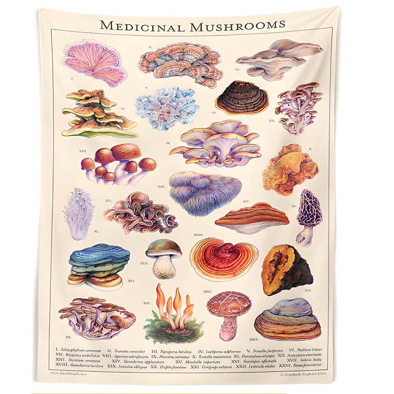 medical mushrooms tapestry boogzel