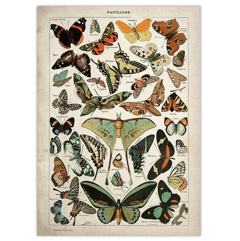 Aesthetic Papillons Vintage Poster boogzelhome buy