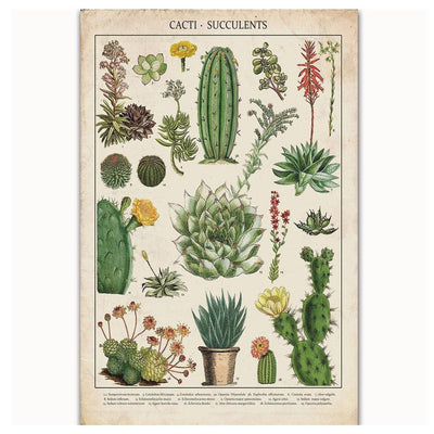 Buy Cactus Vintage Poster boogzel home
