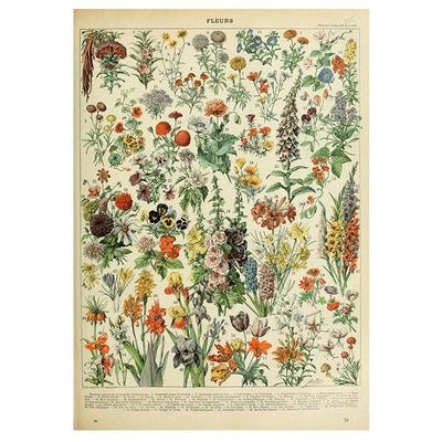 flowers vintage poster boogzel home buy