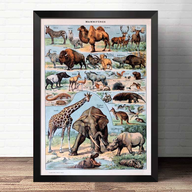 aesthetic home decor vintage animal poster boogzel home