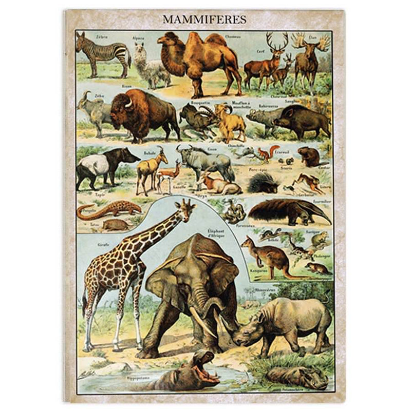 aesthetic animals vintage poster boogzel home
