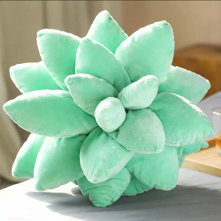 The Power Of Succulents Plush Pillows